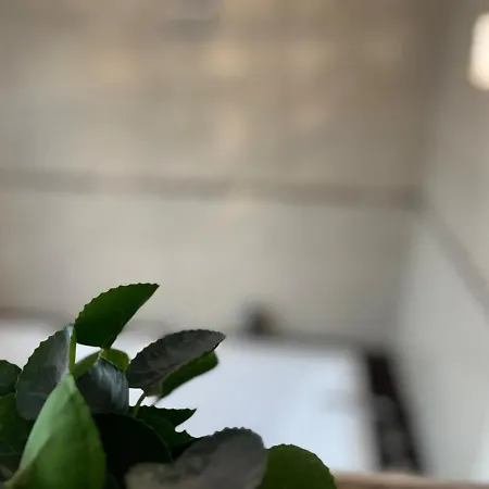 Apartment Vintage